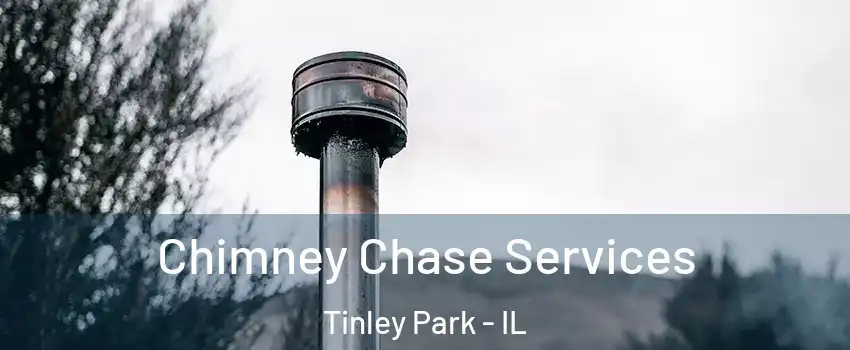  Chimney Chase Services Tinley Park - IL
