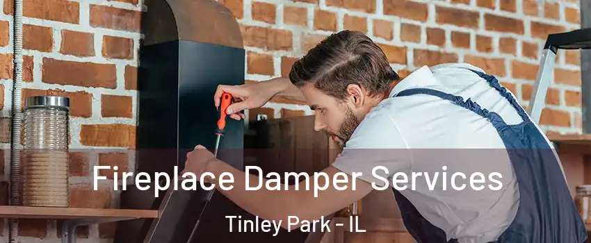  Fireplace Damper Services Tinley Park - IL