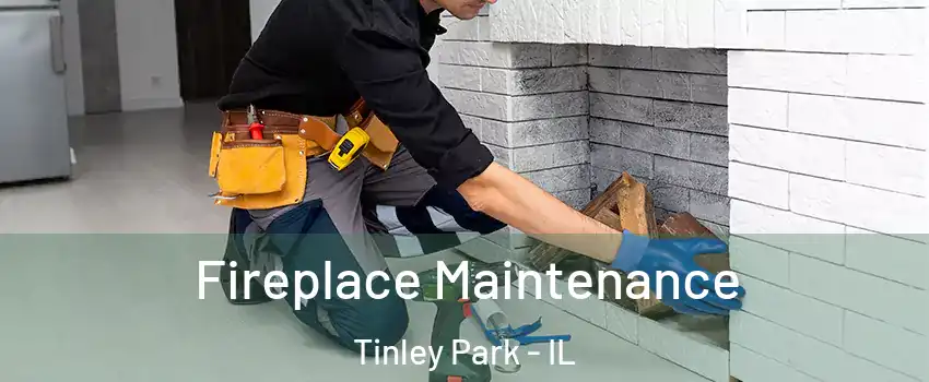  Fireplace Maintenance Tinley Park - IL