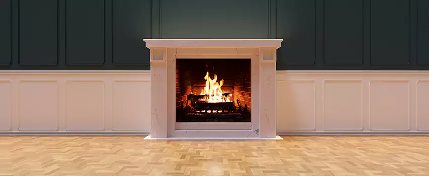 Napoleon Electric Fireplaces Inspection Service in Tinley Park, Illinois