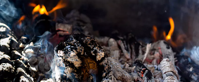 Creosote Removal Experts in Tinley Park, IL