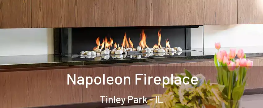  Napoleon Fireplace Tinley Park - IL